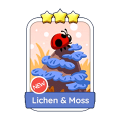 Lichen & Moss (10.6)⭐⭐⭐