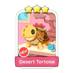 Desert Tortoise (11.8)⭐⭐⭐