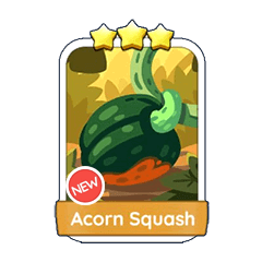 Acorn Squash (14.2)⭐⭐⭐