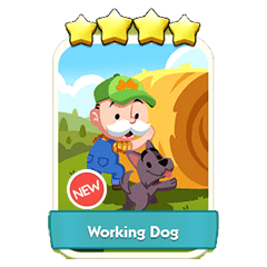 Working Dog (15.6)⭐⭐⭐⭐