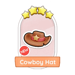 Cowboy Hat (16.2)⭐⭐⭐⭐