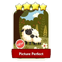 Picture Perfect (16.4)⭐⭐⭐⭐