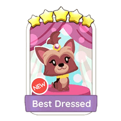 Best Dressed (24.4)⭐⭐⭐⭐⭐